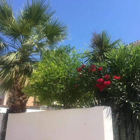 The Olive Grove