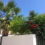The Olive Grove